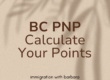 BC PNP points calculator